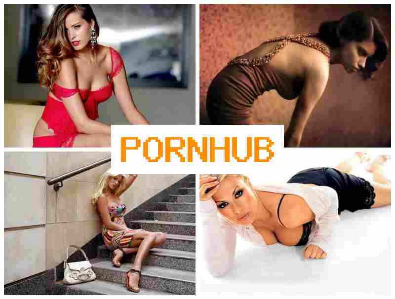 POEN HUB 🔵 Free Cam Webcam