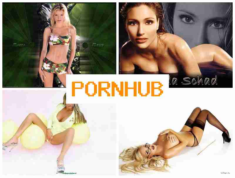 PODN HUB 💯 Free Adult Lives Sex Webcams