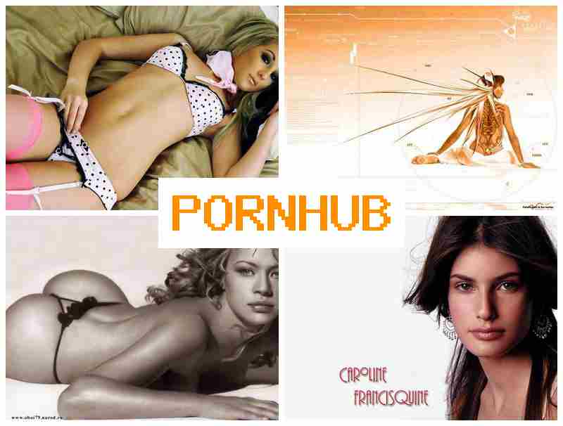 PORHHUB 💗 Live Sex Adult Webcams