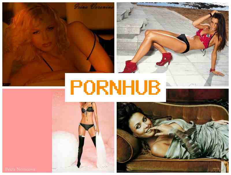 PORNHUB 🎇 Hide Webcam Porno