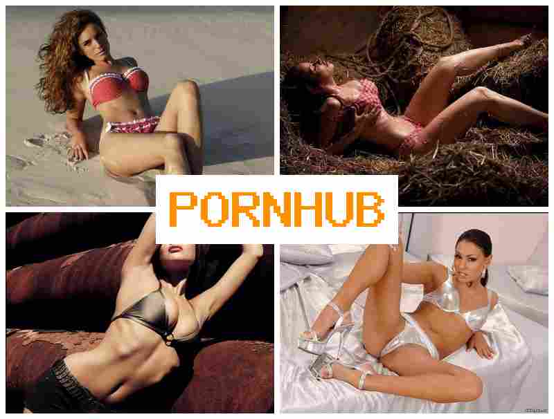 PORN HUUB 🔶 Doggy Style Webcam Porno